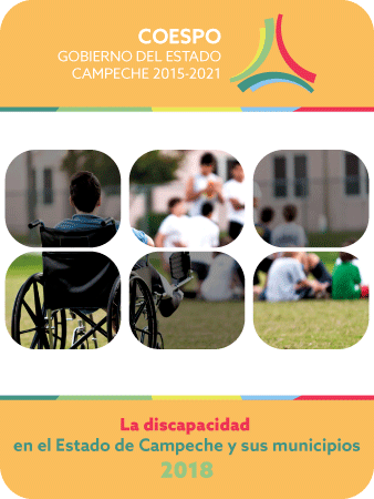 Discapacidad 2018